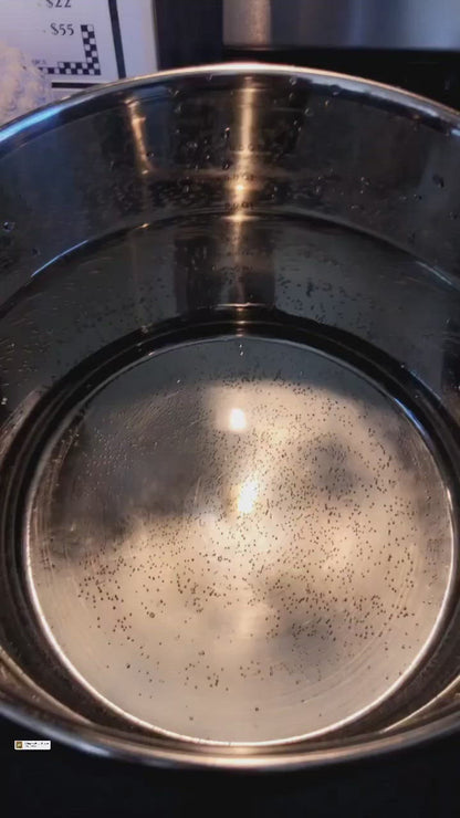 Organic Elderberry Syrup