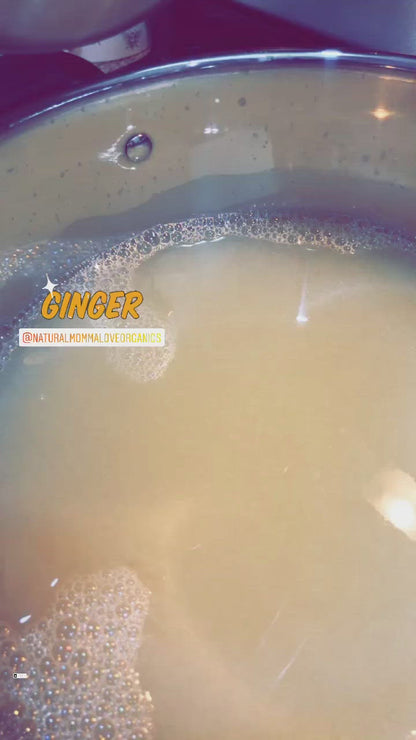 Organic Ginger Shot 16 fl oz