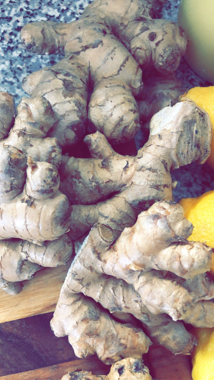 Organic Ginger Shot Singles 2 fl oz