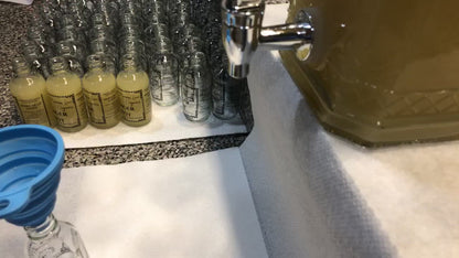 Bulk Order 130 Immune Support Organic Ginger Shot Singles